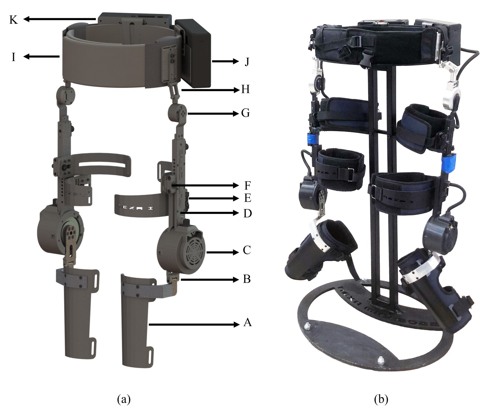Fuzzy Assist-as-Needed Control for the FUM-NEXA Knee Exoskeleton